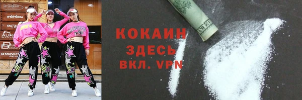 дмт Инта
