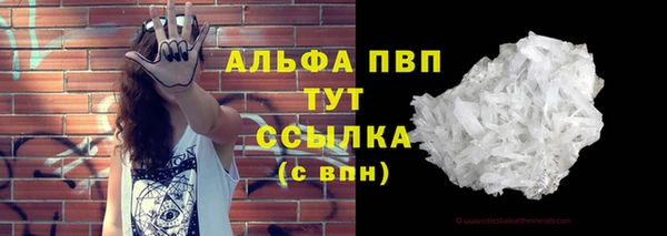дмт Инта